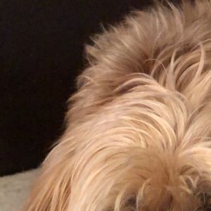 Meet your Posher, Jamie